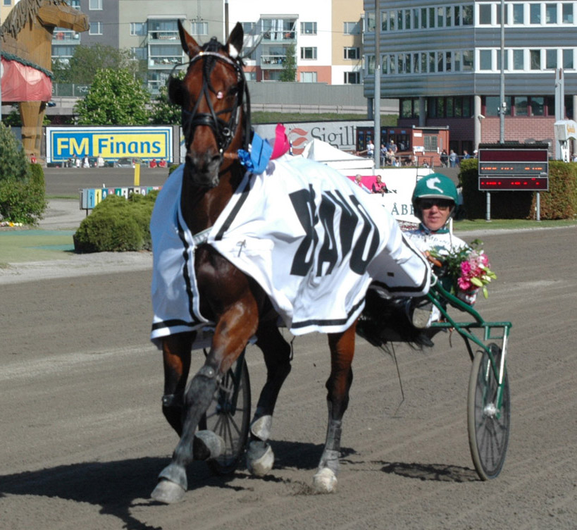Pink Elephant med Örjan Kihlström efter segern i V75-final. Foto: A.Lindblom